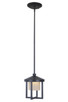 Alta LED Pendant (Z9211-MN-LED)