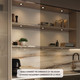 Push Puck Recessed (4024R-CC-GD)