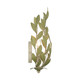 Broche Two Light Wall Sconce (561-CT)