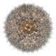 Addis 40 Light Chandelier (ADD-329-AG-SM)