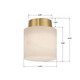 Acme One Light Semi Flush Mount (AME-400-AG)