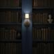 Aragon LED Wall Sconce (ARA-10261-MK-ST)
