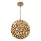 Cora One Light Chandelier (COR-7105-SG)