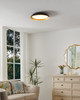 Sebio LED Flush Mount (206905A)