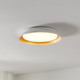 Sebio LED Flush Mount (206908A)