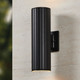 Portillo Two Light Exterior Wall Sconce (207118A)