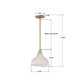Layton One Light Pendant (LAY-303-LG)