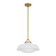 Xander One Light Pendant (XAN-8006-VG-WH)