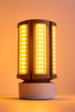Light Bulb (S13138)