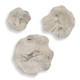 Uttermost - 03505 - Wall Decor Set/3 - Teo - Light Bleached