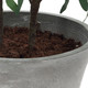 Marisol Planter (60268)