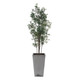 Uttermost - 60269 - Planter - Sonora Olive - Silvery-green