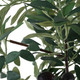Sonora Olive Planter (60269)