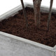 Sonora Olive Planter (60269)