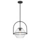 Coralyn One Light Pendant (11895-899)
