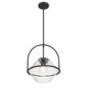 Coralyn One Light Pendant (11895-899)