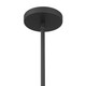 Coralyn One Light Pendant (11895-899)