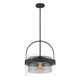 Ravik One Light Convertible Pendant/Semi-Flush Mount (1916-899)