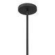 Ravik One Light Convertible Pendant/Semi-Flush Mount (1916-899)