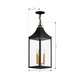 Hurstborne Three Light Outdoor Hanging Lantern (78304-734)