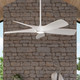 VERNAL 60" Ceiling Fan (P250059-028-30)