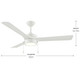 Axion I 52" Ceiling Fan (P250122-28M-30)