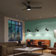 Axion II 52" Ceiling Fan (P250123-31M-30)