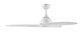 Nirra 52" Ceiling Fan (P250126-28M)
