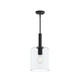 Progress Lighting - P500509-31M - One Light Pendant - Reines - Matte Black