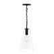 Jheni One Light Pendant (P500511-31M)