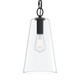 Jheni One Light Pendant (P500511-31M)