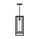 Shaw One Light Outdoor Pendant (P550148-031)