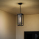 Shaw One Light Outdoor Pendant (P550148-031)