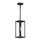 Progress Lighting - P550146-31M - One Light Outdoor Pendant - Ryle - Matte Black