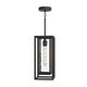 Shaw One Light Outdoor Pendant (P550148-020)