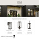 Ryle One Light Outdoor Wall Mount (P560399-020)