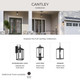 Cantley One Light Outdoor Wall Mount (P560405-31M)