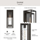 Shaw One Light Outdoor Wall Mount (P560411-020)