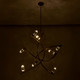 Bilancia LED Chandelier (045656-062-FR001)