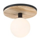 Carnagie LED Flush Mount (50186-020)