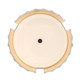 Roslington LED Flush Mount (50204-021)