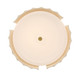Roslington LED Flush Mount (50205-011)