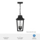 Spring Cove Three Light Outdoor Pendant (46084)