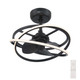 Cirro Fandelier 20" Fandelier (50300)