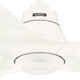 Arwen 60" Ceiling Fan (53512)
