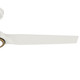 Zentech 52" Ceiling Fan (53519)