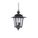 Kalco - 404150AI - Three Light Hanging Lantern - Saddlebrook Outdoor - Aged Iron