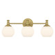 Orlisse Three Light Vanity (201103-VB)