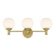 Orlisse Three Light Vanity (201103-VB)