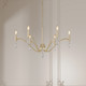 Aureline Six Light Chandelier (205106-AGSI)